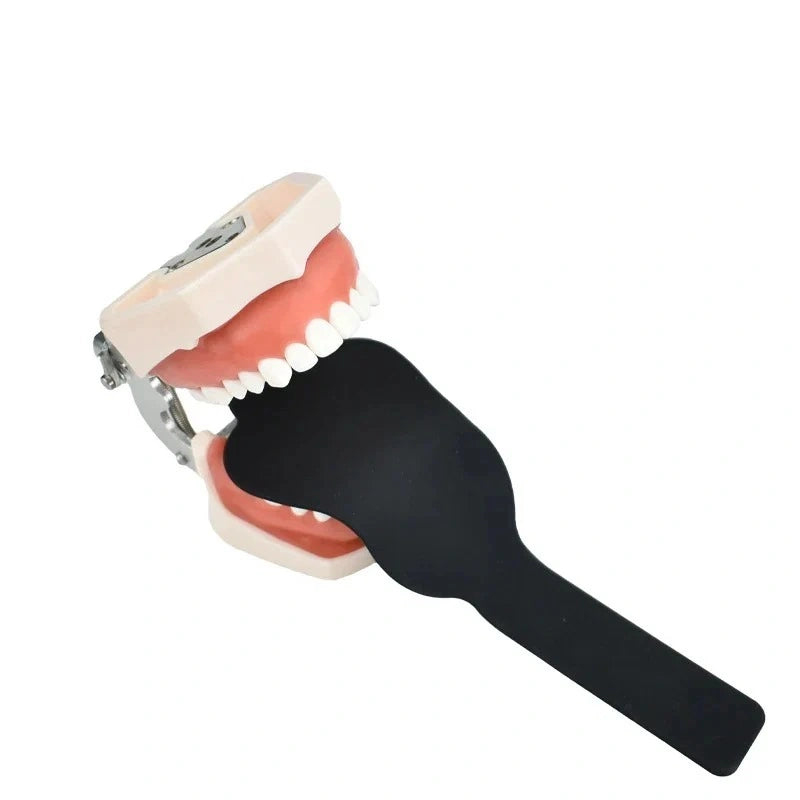 Dental contraster placed in dental model for occlusal photography.