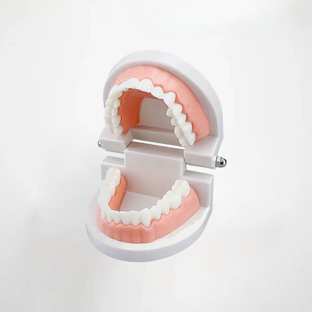 Dental Practice Model