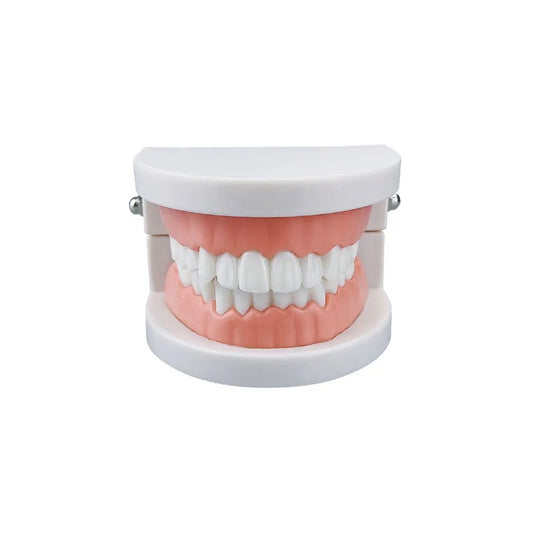Dental Practice Model