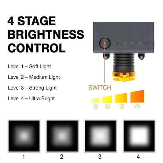 Dental LED Headlight with Filter