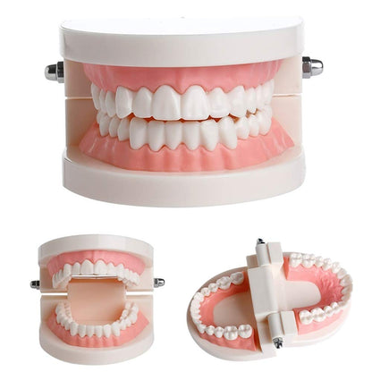 Dental Practice Model