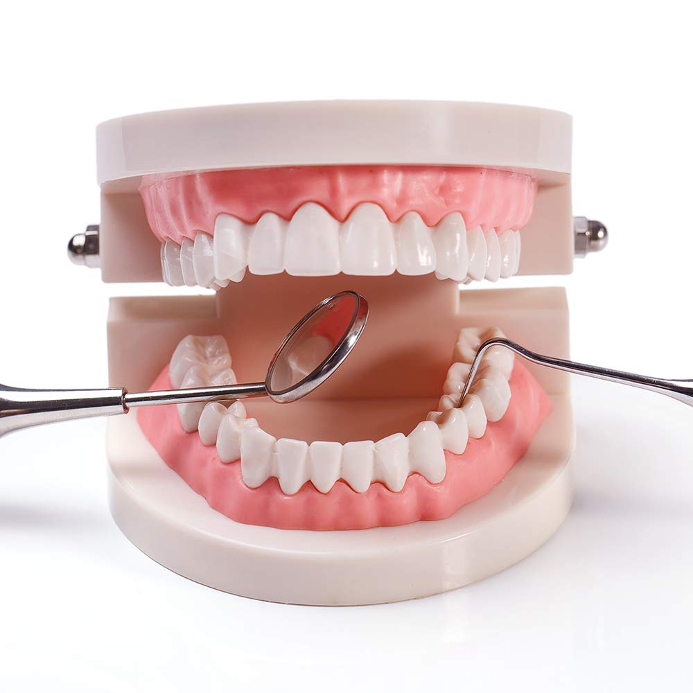 Dental Practice Model