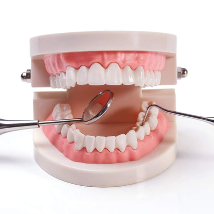 Dental Practice Model