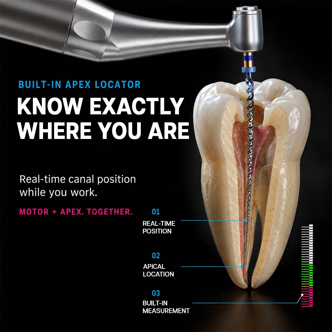 endodontic motor file inside the canal of a tooth cross-section