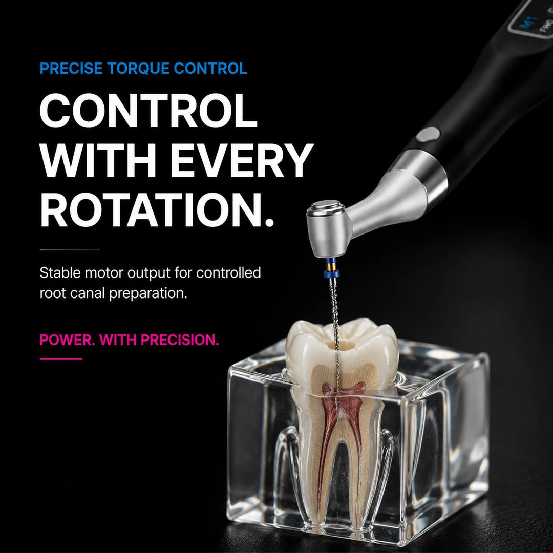 endo motor file entering the canal of a clear tooth model